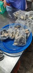 Good Quality Size 8-10CM Frozen Half Shell Mussel Style FROZEN Packaging Box Weight (kg) 1kg Brand Name Healsea Shelf Life 24 - Image 5