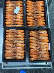 Frozen Cooked Hoso Scampi Shrimp - Image 1