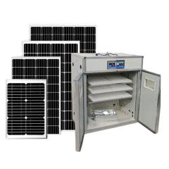 Laboratory Chicken Egg Incubator Hatcher Machine Price Best Offered - Image 1