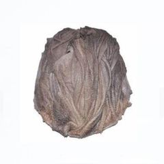 Beef omasum available for wholesale sale perfect for meat distributors and wholesale butchers - Image 5