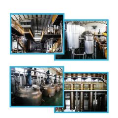 Natural Rice Bran Oil Extract Tocotrienols Powder CAS 490-23-3 Tocotrienols Powder - Image 6