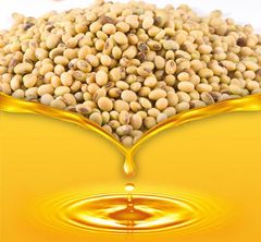 Crude & Degummed Soybean Oil – product photo 2, product detail gallery