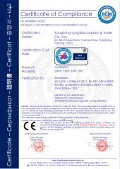 CE Outboard Motor certificate from Yongkang Longxiao Industry and Trade Co., Ltd.