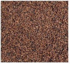 Sesame Seed - Image 1