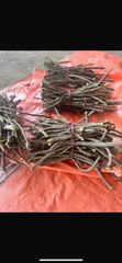 Licorice Root Long Stick Origin Pakistan Packing Unit Kg Packing Material Pp Bags Minimum Order Quantity Metric - Image 1