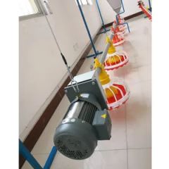 Poultry Farming Automatic Feeder Pan System for Broiler Origin China Model NO. MH Condition New Certificate CE Warranty 1 - Image 1