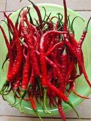 Fresh Chili Red Curly Chili - Image 2