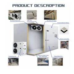 Secure Cold Room Storage Protects Valuable Goods - Image 3