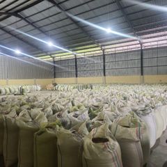 Sumatra Gayo Arabica Green Coffee Beans - Natural Process - Image 6