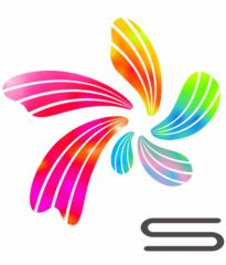 Jiangxi Langshi Electronic Technology Co., Ltd