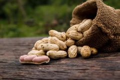 Peanuts Shelled Kernels For Nutritious Snacks Bakery Recipes Confectionery Production And Everyday Food Preparation - Image 3