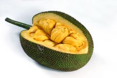 Peeled Jack Fruit - Image 2