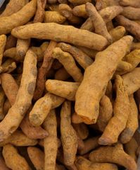 Ethiopian Turmeric Finger – product photo 1, product detail gallery