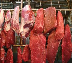 Reasonable Price Grade A High Quality Halal Frozen Beef Meat Frozen Meat of All Parts Available for Sale - Image 6