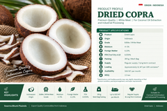 Dried Coconut Copra - Image 4