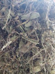 Borage Leaves & Flower (Gule )Gauzban - Image 6