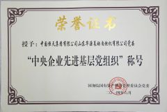 The State Council Award certificate from Shandong Huayuan Laidong Engine Co., Ltd.