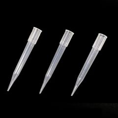 Laboratory Disposable Universal 5ml Wide Orifice Pipette Tip - Image 5