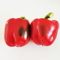 China Origin High Quality Red/Yellow/Green Fresh Bell Pepper - Image 2