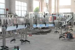 Conveyor System for Delivering Products Including Bottles Boxes Bags - Image 3