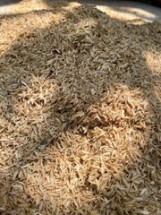 Agriculture, Food & Beverage – product photo 1, product detail gallery