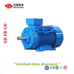 Ye2 Ie3 Ie2 315kw 400kw Three Phase Electric AC Motor - Fuding Brothers Power Co., Ltd.