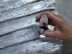 ribbonfish HGT - Image 1