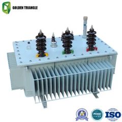Powerful Electrical Transformers for Sale Origin China Low Voltage 0.4 Shape of Core Ring No Load Loss 33-860W Tap Range +-2*2.5, - Image 4