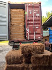 Coconut Fiber - Image 2