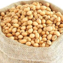 Wholesale Soya Beans - Image 4