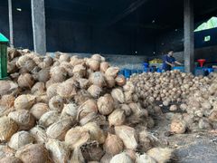 Indonesian Coconut Shell Charcoal – product photo 5, product detail gallery