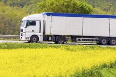 Nutritious Rapeseed - Image 2