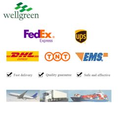 Wellgreen Fruit Powder Strawberry Juice Powder Strawberry Powder - Image 5