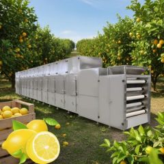 Microwave Fruit Vegetable Processing Machinery Tunnel Drying Machine - Tianshui Huayuan Machinery Technology Co., Ltd.