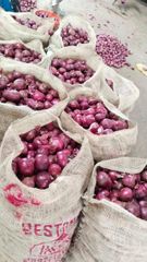 Red Onion – product photo 4, product detail gallery