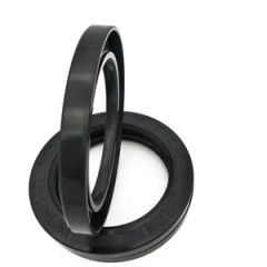 China Tc Mechanical Oil Seal FKM NBR HNBR Silicone Hydraulic Rubber Seal - Nanjing Demeters Rubber & Plastic Products Co., Ltd.