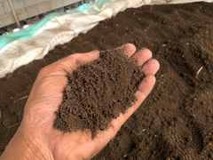 Cow Dung Powder - Image 2