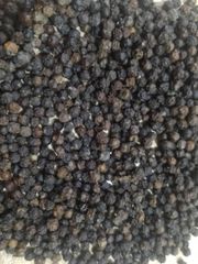 Black Pepper