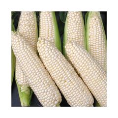 Agro Products Brazil frozenchickenexports.com - Image 5