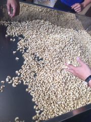 Cashew Nuts WW450 W180/ W320/ W240/ LP/ SP High Specification Cashew Nut Prices In Use Cashew from Thailand Manufacturer - Image 2