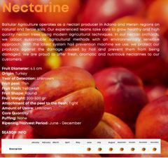 BALTULAR NECTARINE - Image 1