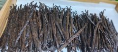 Vanilla beans – product photo 2, product detail gallery