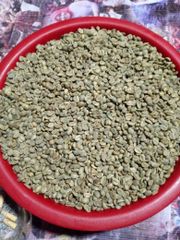 RARE Sumatera Robusta & Arabica beans - Specialty, Grade 1-4 Available – product photo 2, product detail gallery