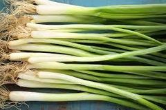 High Quality Frozen Fresh Green Onion Frozen Spring Onion Grade A Size 5*5mm Texture Fresh Weight (kg) 10 Flavor Natural - Image 2