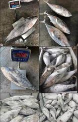 Frozen seafood – product photo 1, product detail gallery