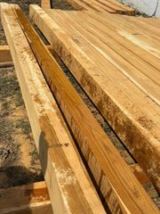 28 year old Costa Rica plantation Teak. - Image 4