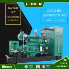 240kw/300kVA 400V/6.3kv/10.5kv Biogas Gas Gngine Generator 6190 Engine Export to Russia Kazakhstan Biogas Plant - Image 1