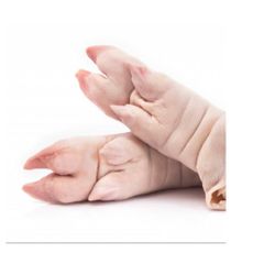 Nutritious 24 Months Top Roast Poultry Products Sale Frozen Meat Pork Feet Supplier  Brazil Origin Frozen Processing Fresh Pork Feet Meat Cheap frozen meat halal pork meat Buy Frozen Pork Feet directly For Sale HIGH QUALITY FROZEN Pork Feet READY FOR SHIPMENT BRAZIL ORIGIN – product photo 2, product detail gallery