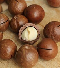 Premium Raw Macadamia Nuts Organic Non-GMO Vacuum Packed Retail Packaging in Shell Macadamia Nuts or Kernel - Image 3