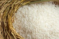 Basmati Rice – Premium & Aromatic (1121 Long Grain) – product photo 4, product detail gallery